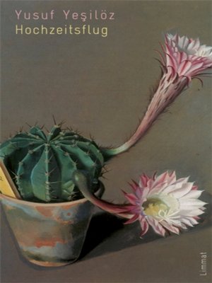 cover image of Hochzeitsflug